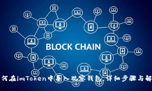 如何在imToken中导入观察钱包，详细步骤与解析