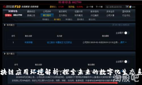 区块链应用环境解析：探索未来的数字化生态系统