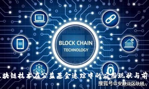 区块链技术在公益基金追踪中的应用现状与前景