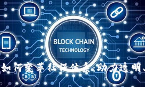 区块链技术如何变革社保体系：助力透明、高效和安全