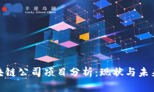 : 忻州区块链公司项目分析：现状与未来发展趋势