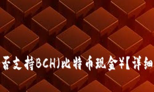 imToken钱包是否支持BCH（比特币现金）？详细解析与使用指南