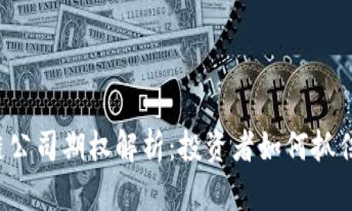 区块链公司期权解析：投资者如何抓住机遇？