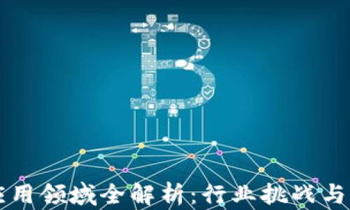 
区块链应用领域全解析：行业挑战与未来发展