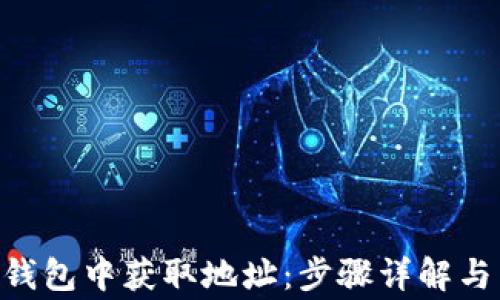 
如何在Token钱包中获取地址：步骤详解与常见问题解析