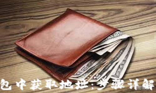 
如何在Token钱包中获取地址：步骤详解与常见问题解析
