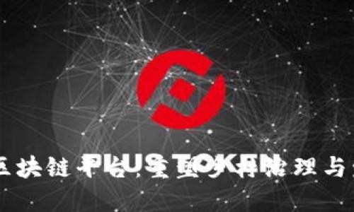 乡村规划区块链平台：重塑乡村治理与发展新模式