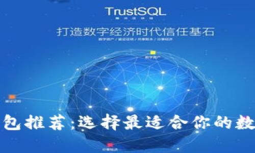 安全的区块链钱包推荐：选择最适合你的数字资产保护方案