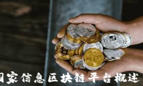 
中国国家信息区块链平台概述与应用