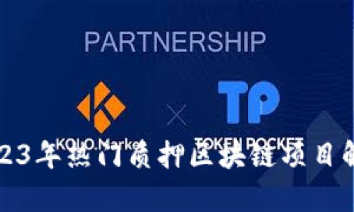 2023年热门质押区块链项目解析