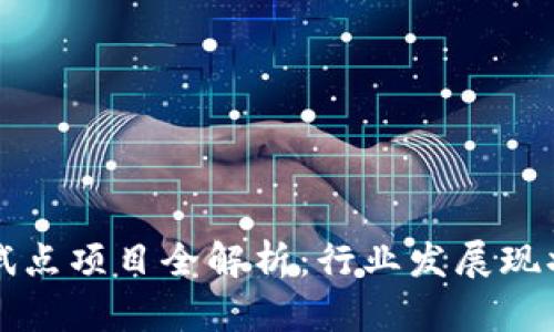 区块链应用试点项目全解析：行业发展现状与未来前景