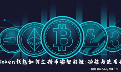 imToken钱包如何支持币安智能链：功能与使用指南