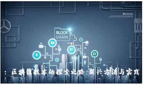 : 区块链技术的探索之路：新兴方法与实践
