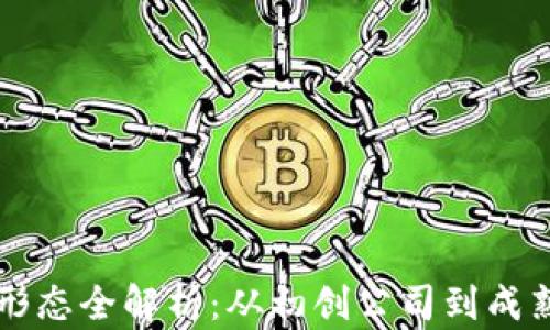 
区块链企业形态全解析：从初创公司到成熟企业的演变