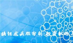 2023年区块链龙头股分析：