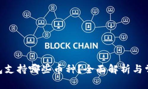 imToken钱包支持哪些币种？全面解析与常见问题解答