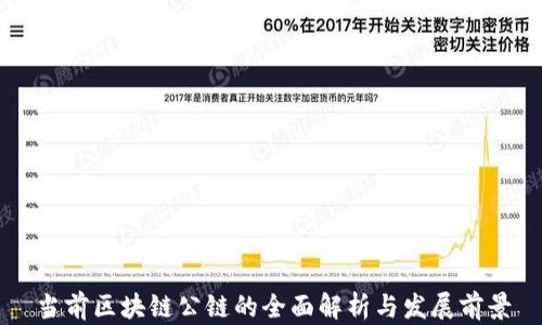 
当前区块链公链的全面解析与发展前景