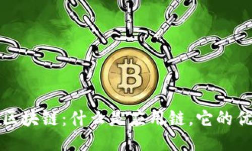 应用链的区块链：什么是应用链，它的优势与挑战