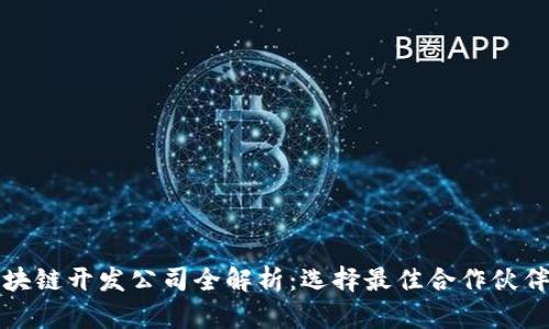 武汉区块链开发公司全解析：选择最佳合作伙伴的指南