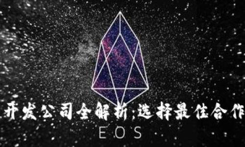 武汉区块链开发公司全解析：选择最佳合作伙伴的指南