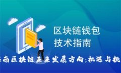 海南区块链未来发展方向