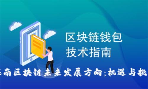海南区块链未来发展方向：机遇与挑战