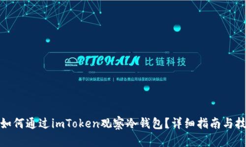 : 如何通过imToken观察冷钱包？详细指南与技巧