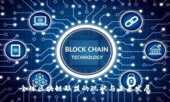 全球区块链联盟的现状与未来发展