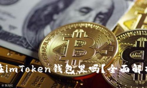 超灵币能放在imToken钱包里吗？全面解析与使用指南